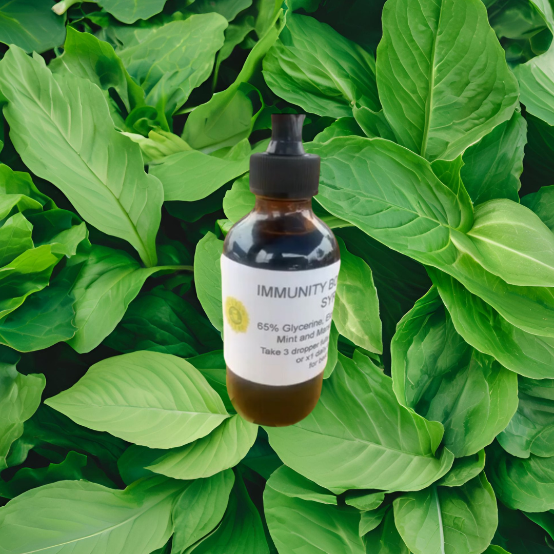 Elderberry Glycerite